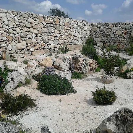Bed & Breakfast Masseria Conti Filo 3*
