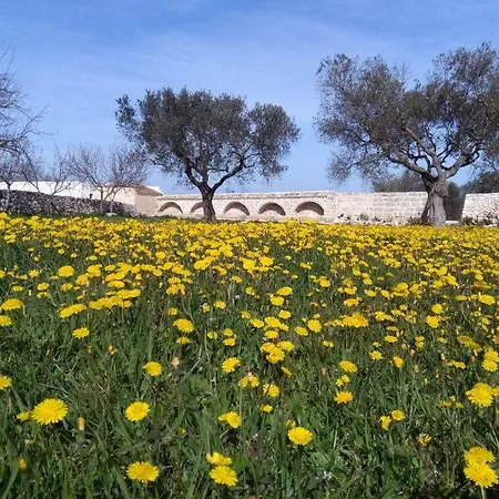 Masseria Conti Filo 3*