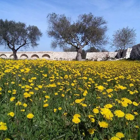 Masseria Conti Filo Bed & Breakfast