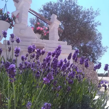 Masseria Conti Filo 3*