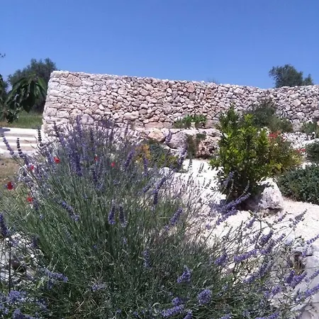 Bed & Breakfast Masseria Conti Filo 3*