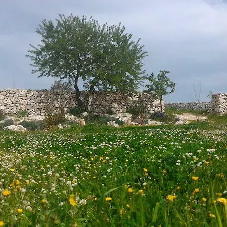 Masseria Conti Filo Bed & Breakfast Altamura