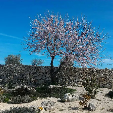 Masseria Conti Filo 3* Altamura