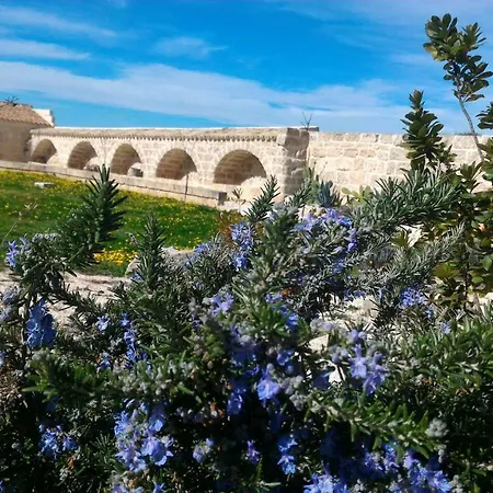 Bed & Breakfast Masseria Conti Filo