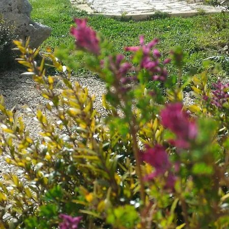 Masseria Conti Filo