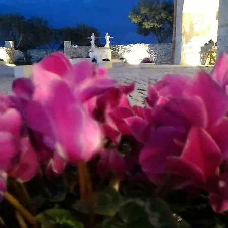 Masseria Conti Filo Bed & Breakfast Altamura