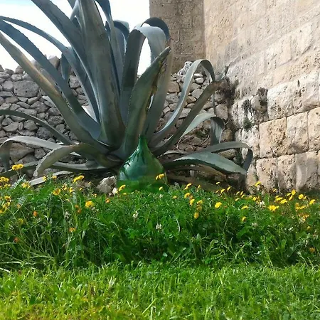 Masseria Conti Filo Altamura