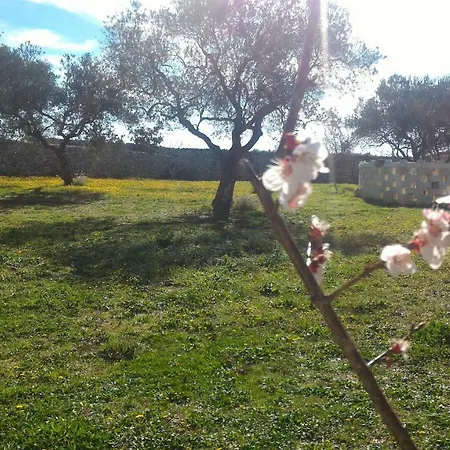 Masseria Conti Filo 3* Altamura